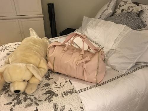 Luhxe Travel Bag 2.0