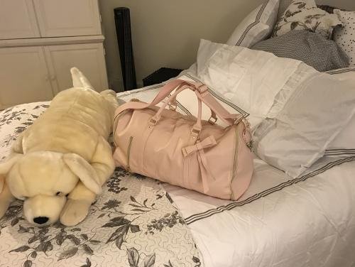Luhxe Travel Bag 2.0